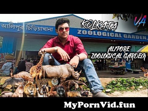 Porn with zoo in Kolkata