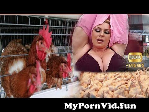 Hard Porn Hot Chicken
