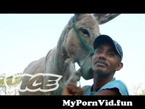 Donkey Sex Dance - ãƒ­ãƒã‚’çŠ¯ã™ç”·ãŸã¡ - Donkey Sex: The Most Bizarre Tradition from sex man fucking  donkeyanima Watch Video - MyPornVid.fun
