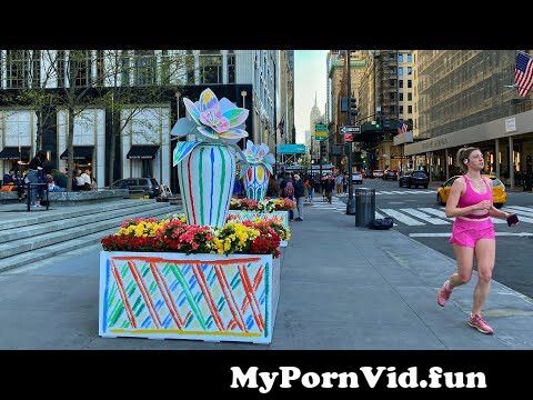 Porn on live in Manhattan