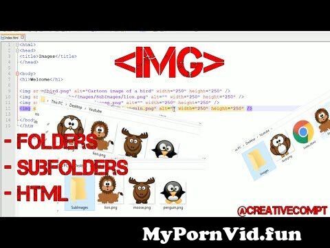 Using Images in HTML with Folders & Subfolders from img imagetwist im com lsn 04 Watch Video - MyPornVid.fun