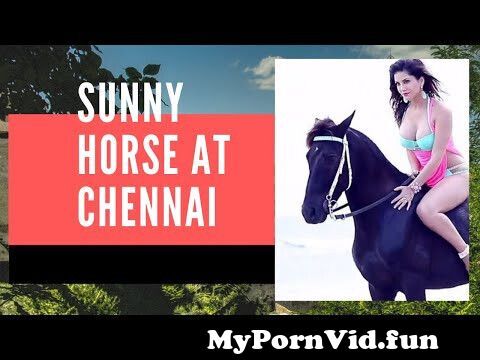 In sex Chennai horse Animal Sex