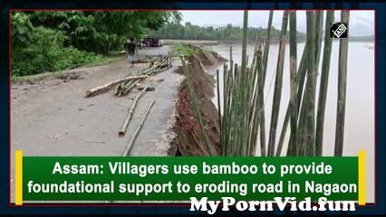 View Full Screen: assam villagers use bamboo to provide foundational support to eroding road in nagaon.jpg