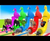 Animal Animation 4D