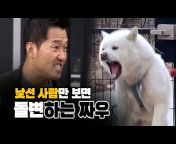 KBS동물티비 : 애니멀포유 animal4u