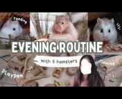 The Hamster Room