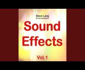 Steve Lang the Soundcollector - Topic