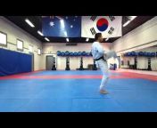 Professional Taekwondo