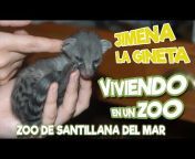 Zoo de Santillana