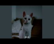 猫音乐 槽 - Topic