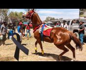 Carreras de Caballos Videos Durango