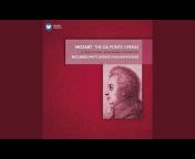 Vienna State Opera Orchestra - Topic