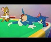 Tom Jerry 2019