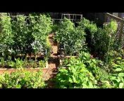 OYR Frugal u0026 Sustainable Organic Gardening