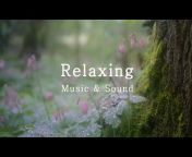 Relaxing Music u0026 Sound