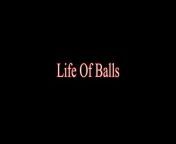 Life Of Balls