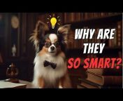 The Smart Canine
