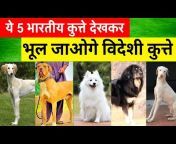 Vaibhav Dog&#39;s World