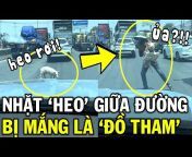Tin Việt 2 Phút