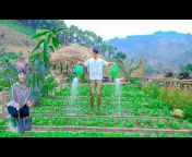 Thao Vy Garden Farm