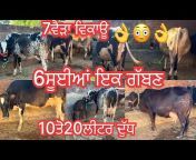 Bhinder dairy farm