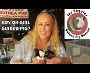 Saskia from Los Angeles Guinea Pig Rescue