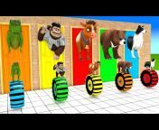 Funny 3D Animals TV