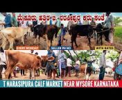 Farmers Market - Cattle