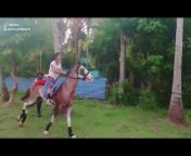 Vinu:Malabar Horse Riderട P