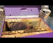 Callahan Homestead and Beekeeping