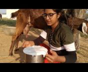 Pooja Rajasthani Vlogs