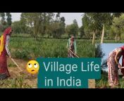 Village Life Jagdmba Bhawani