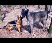 German Shepherd and Dog breeds