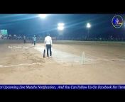 Raj Cricket Fever