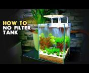 MD Fish Tanks