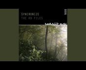 Syncronize - Topic