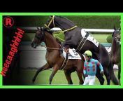 Staying The Distance - The Melbourne Cup Channel