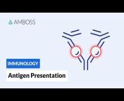 AMBOSS: Medical Knowledge Distilled