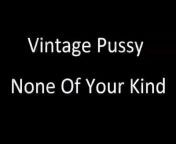 Vintage Pussy