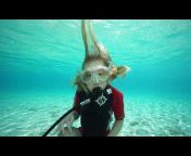 NGUE - Northern Greece Underwater Explorers