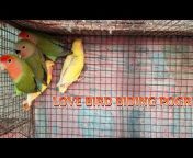 BIRDS LOVER SONU