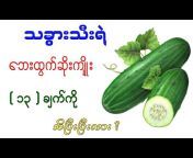 Healthy Fruits Myanmar
