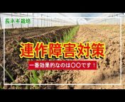 いわもとふぁーむTV agriculture studio