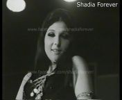 Shadia Forever