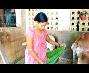 Sudam Sriya vlog