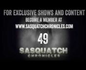 Sasquatch Chronicles