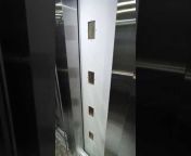 iran Elevator hydroalic