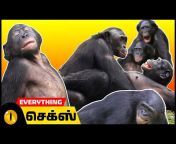 Animaltube Tamil