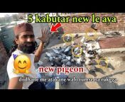 Delhi pigeon Lover