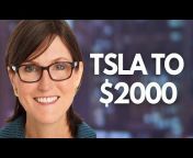 Matt Pocius on Tesla Stock u0026 Money